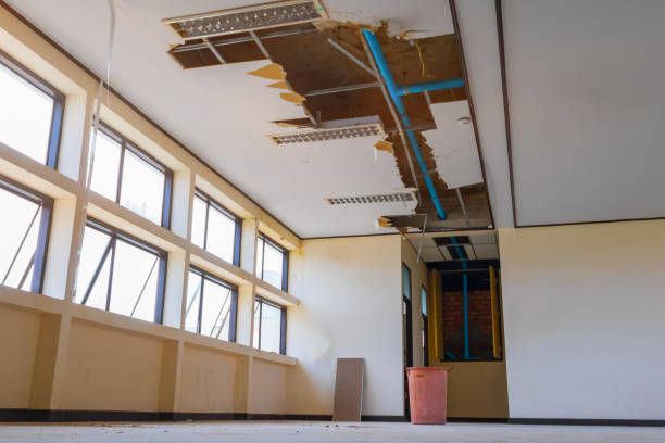 Best Sewage cleanup and water damage restoration  in Milton Freewater, OR