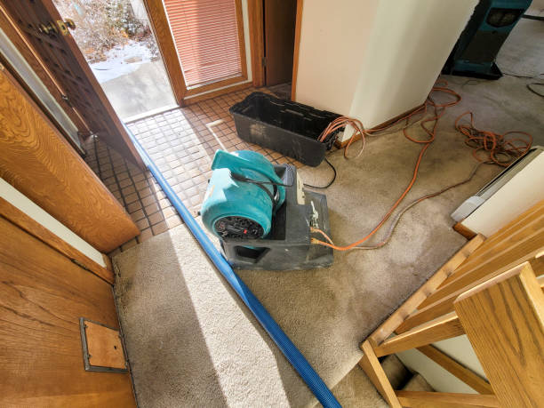 Best Water damage restoration near me  in Milton Freewater, OR