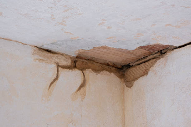 Best Water damage mitigation services  in Milton Freewater, OR