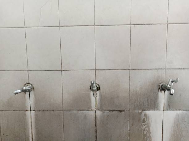 Best Fire Damage Restoration  in Milton Freewater, OR