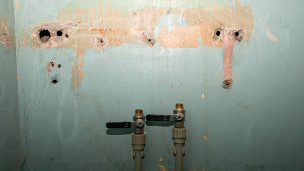Best 24-hour water damage restoration  in Milton Freewater, OR